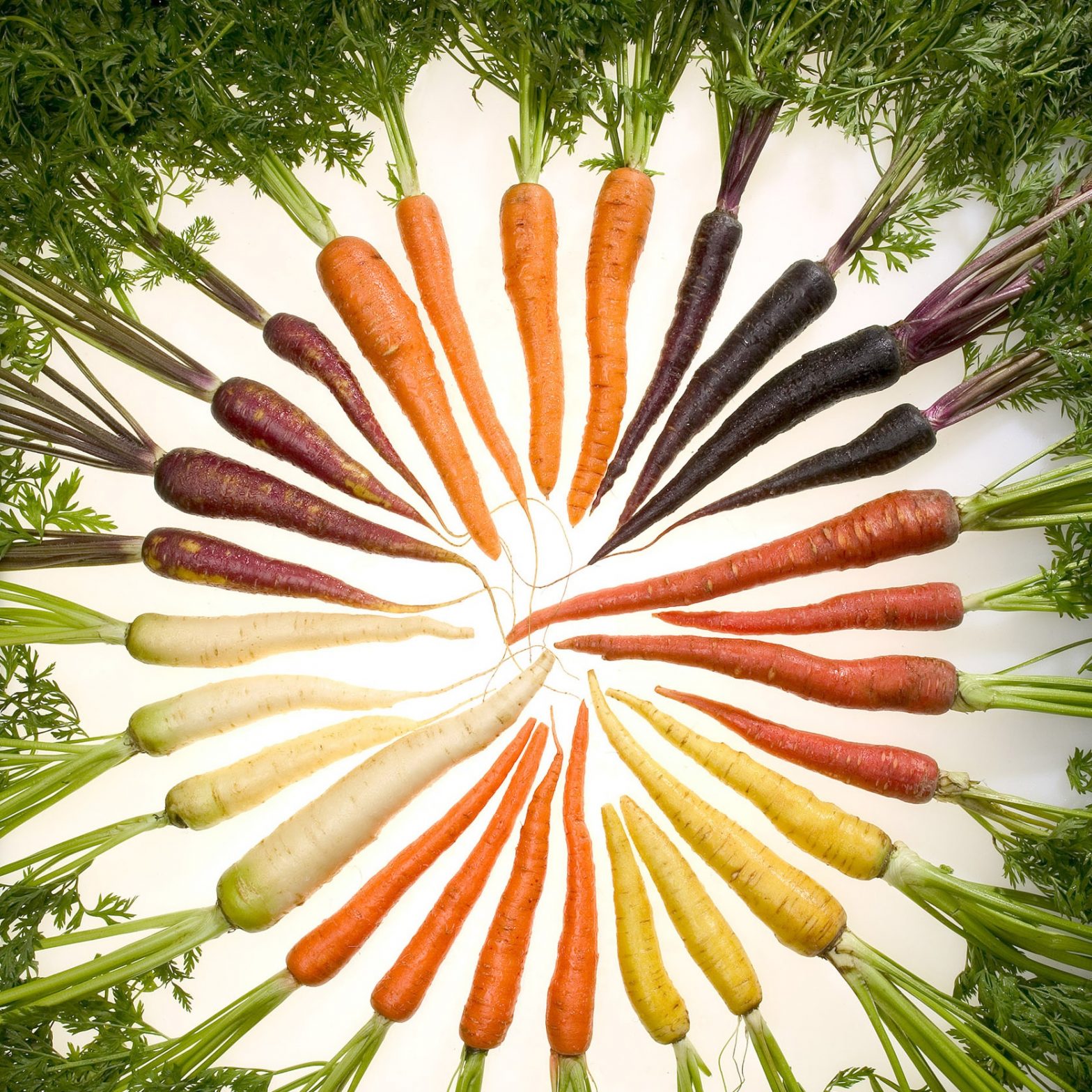 1549295038carrots Of Many Colors