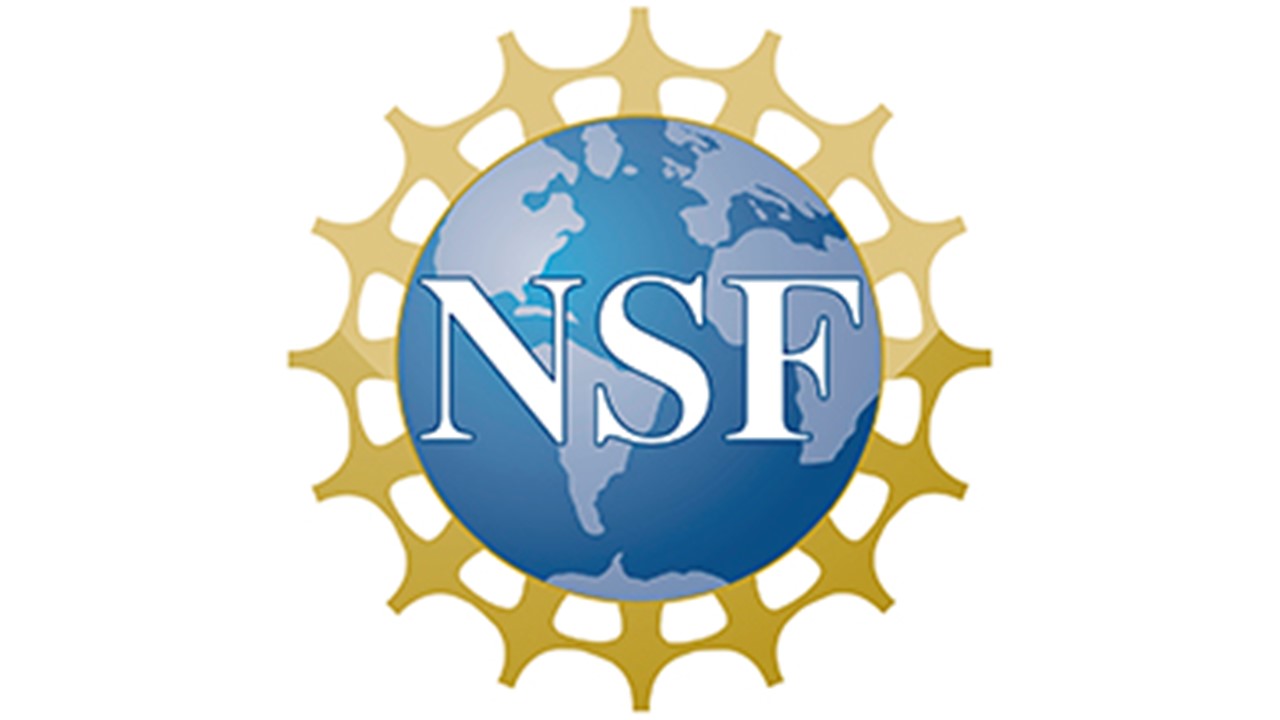 Nsf Logo Color