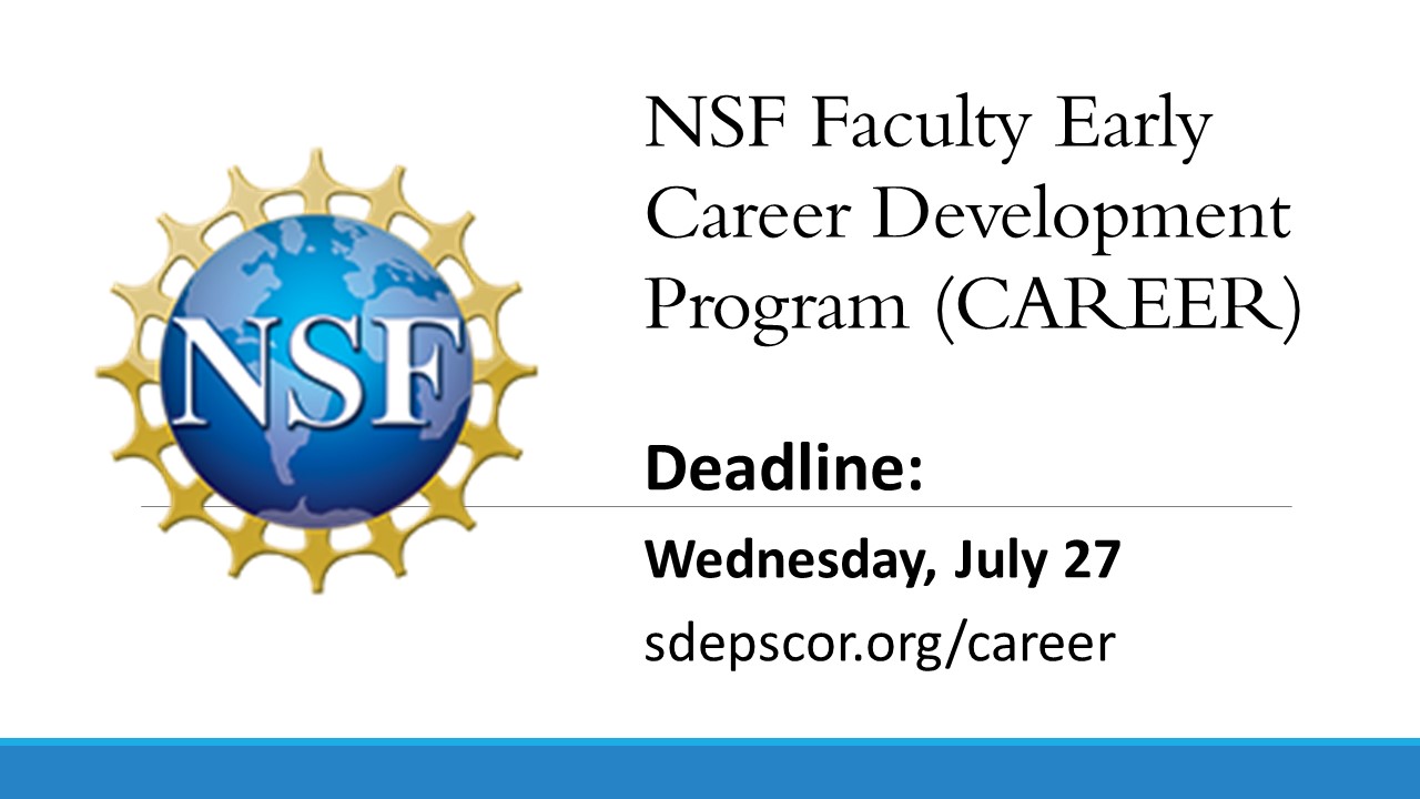 NSF Faculty Early Career Program