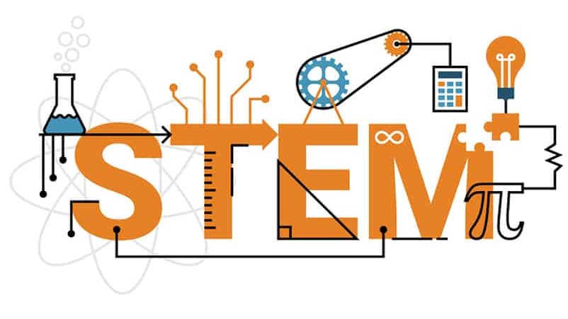 Stem Workshop