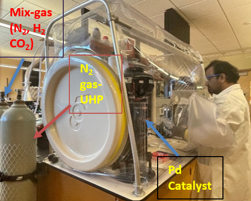 Anaerobic Growth Chamber Pic