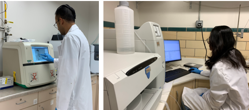 Protein Enginerring Lab